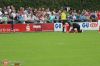 2016-07-31 uwe wiedenbrueck rwe 6942